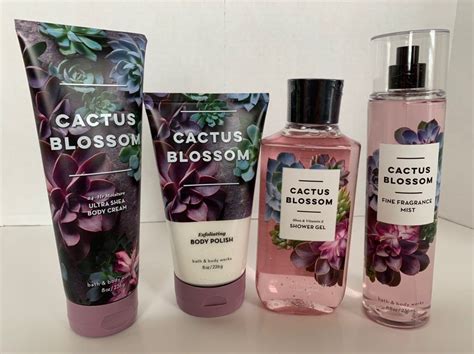 cactus blossom bath and body works|More.